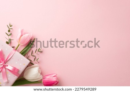 Mother's Day concept. Top view photo of stylish pink giftbox with ribbon bow and bouquet of tulips on isolated pastel pink background with copyspace Royalty-Free Stock Photo #2279549289