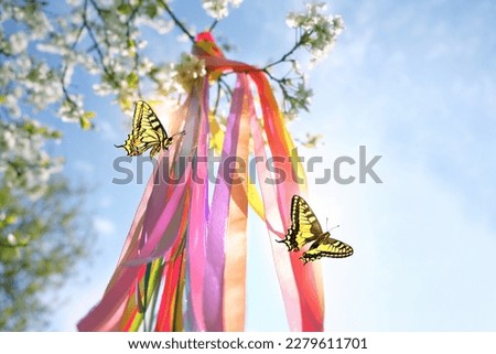colorful ribbons on spring tree and butterflies on sunny natural background. floral decor, Symbol of Beltane, Wiccan Celtic Holiday beginning of summer season. witchcraft, folk tradition, wicca ritual Royalty-Free Stock Photo #2279611701