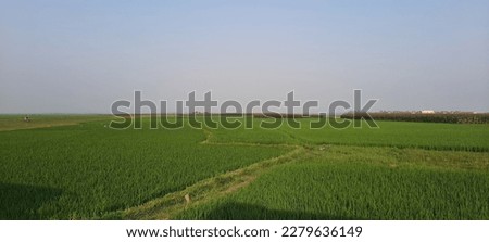 Find Green Background stock images in HD and millions of other royalty-free stock photos, illustrations and vectors in the Shutterstock collection.