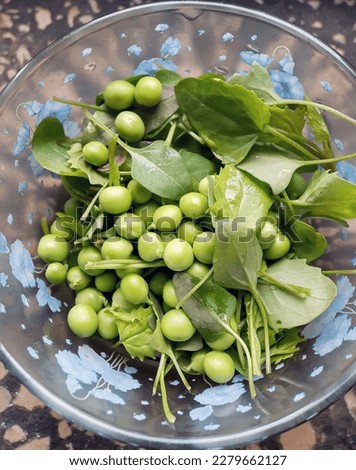 Young green peas with lettuce in a plate close-up. Peas with lettuce.