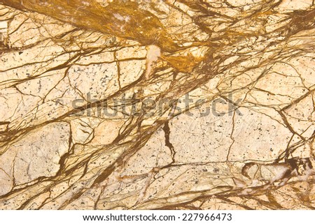 Stone Backgrounds and Textures - Marble Tiles Color - Rainforest Brown