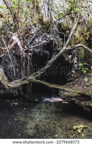 Natural grotto of the Baths of Aphrodite Botanical Garden in Akamas National Forest on the Akamas Peninsula, Paphos District in Cyprus Royalty-Free Stock Photo #2279668573