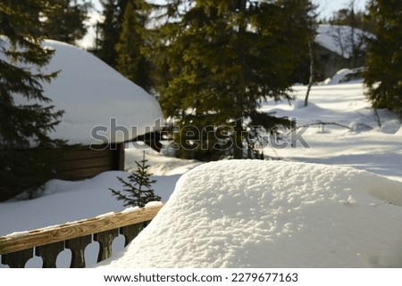 A cabin in forest covered with snow