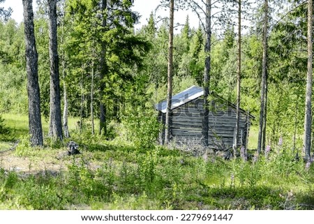 house in the forest, beautiful photo digital picture