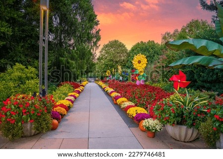 a gorgeous autumn landscape in the garden with colorful flowers, pumpkins and origami flowers and lush green trees and plants at Atlanta Botanical Garden in Atlanta Georgia USA Royalty-Free Stock Photo #2279746481