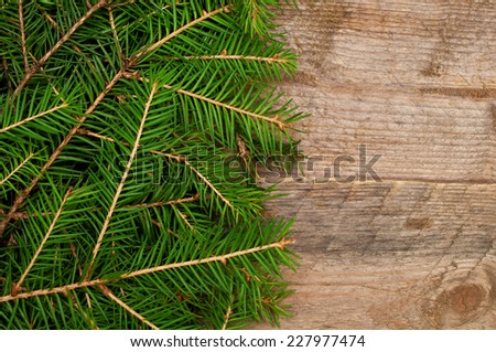 Christmas background with spruce branches 