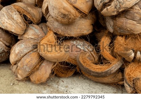 Bunch of raw brown coconut coir. Close up of dry coconut shell and fiber Royalty-Free Stock Photo #2279792345