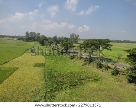 Natural beauty of Bangladesh, pabna district. Beside akij jute mills ataikula Royalty-Free Stock Photo #2279813371