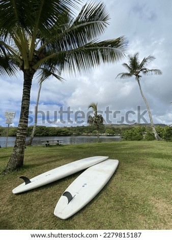 Paddleboards by Wailua river, Kauai