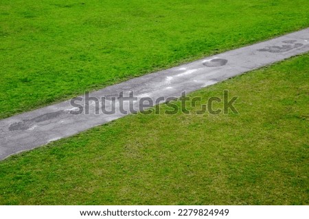 Asphalted park lane passes hrough a green lawn, abstract background photo