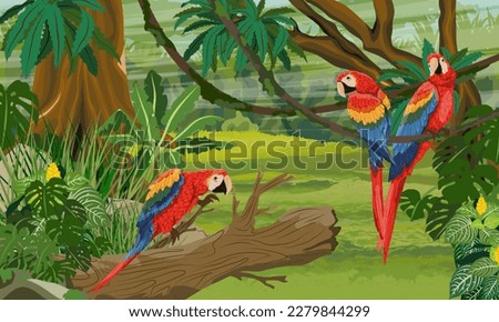 Three scarlet macaw parrots sit on the branches of a tropical plant in the jungle. South America and Africa. Realistic vector landscape Royalty-Free Stock Photo #2279844299