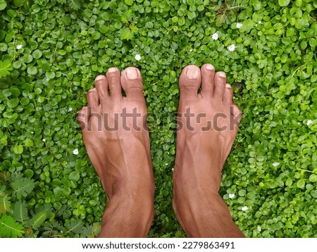 Feet on green grass stock photo.
