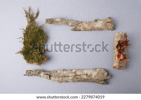 Frame made of tree bark pieces and moss on light blue background, flat lay. Space for text