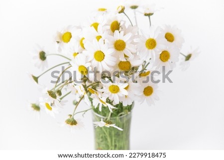 bouquet of daisies in a vase on a white background