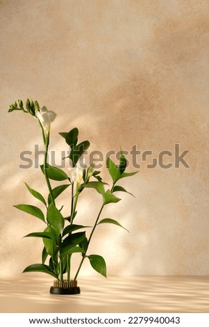 Composition of flowers on a kenzan. advertising for a flower business or as a design element for a flower business or as a design element for a stylish interior.