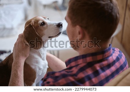calming effect of hugging a beloved Beagle. Strategies for stress relief, adopting shelter dogs, the emotional intelligence of dogs. Royalty-Free Stock Photo #2279944073