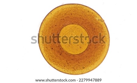 Testate amoeba species, Galeripora sp, an amoeba with a smooth shell. Live cell. 40x objective. Stacked image Royalty-Free Stock Photo #2279947889