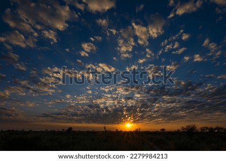 Beautiful Sunset in the Okavango Delta with fantastic clouds- Botswana