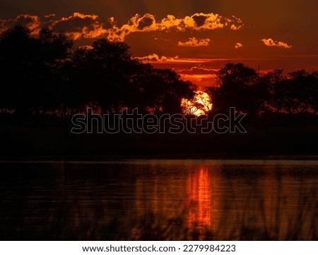 Beautiful Sunset in the Okavango Delta Sun shines through the trees - Botswana