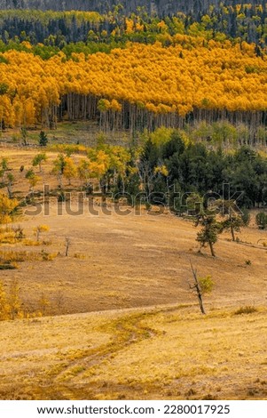 A beautiful view of the Colorado high country in late September with golden aspen bordering meadows grazed by cattle. Royalty-Free Stock Photo #2280017925