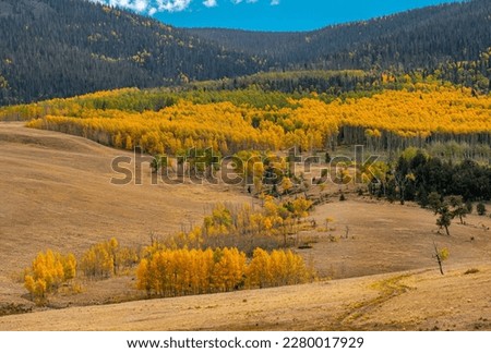 A beautiful view of the Colorado high country in late September with golden aspen bordering meadows grazed by cattle. Royalty-Free Stock Photo #2280017929