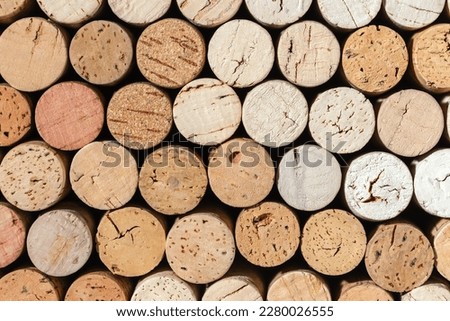 Set of red wine cork from white wine, natural texture bottle stoppers top view, brown background from close up wooden corks. Natural textured stoppers. Wine card background for winemaking or bar