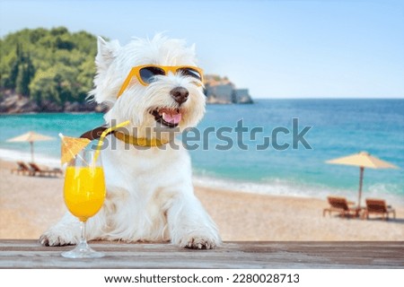 Happy dog having cocktails at the sea resort Royalty-Free Stock Photo #2280028713