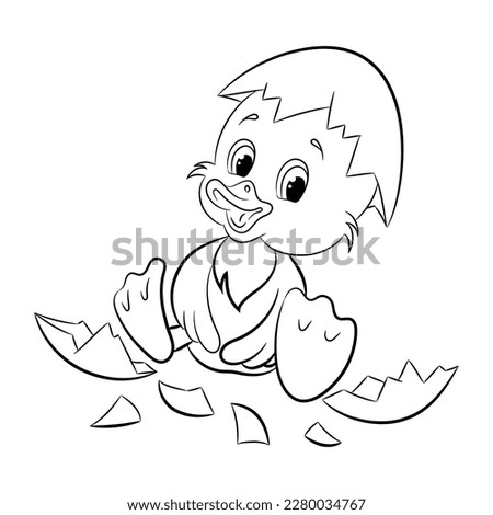 Duckling. Coloring book for children. Vector illustration.