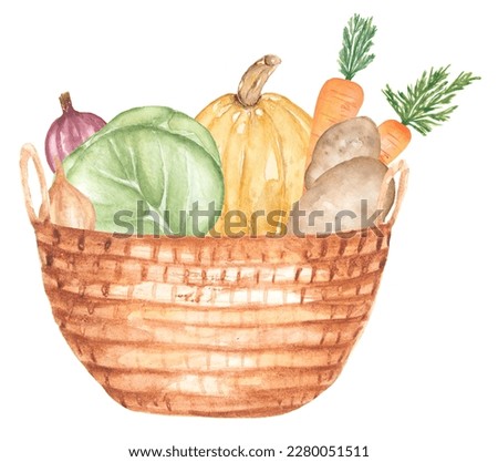 Watercolor vegetables in the wooden box illustration, fresh garden vegetables clipart. garden harvest food clip art, onion, cabbage, carrot, pumpkin and potato