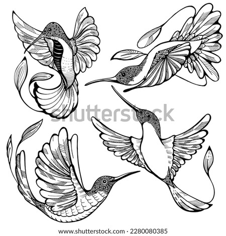 Set of colibri birds Cute retro engraved humming bird picture Transparent on white background for t-shirt, cover, banner, coloring book. Royalty-Free Stock Photo #2280080385