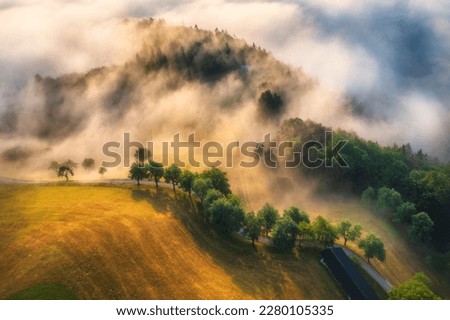 Aerial view of trees on alpine meadows and mountains in low clouds at amazing sunrise in summer. Top drone view of hills with green grass and trees in fog in Slovenia. Nature. Mountain valley Royalty-Free Stock Photo #2280105335