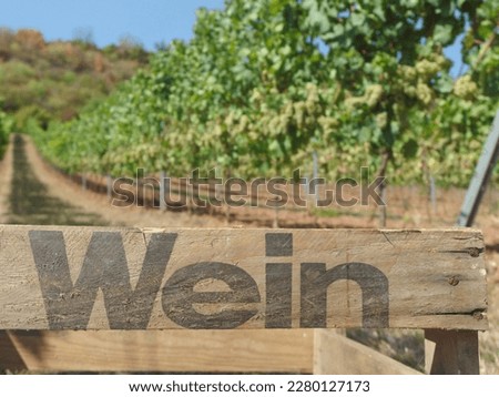 Rheinhessen vineyard wine box  with wineglas in summer Royalty-Free Stock Photo #2280127173