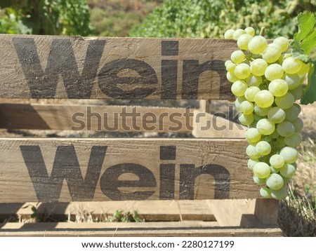 Rheinhessen vineyard wine box  with wineglas in summer Royalty-Free Stock Photo #2280127199