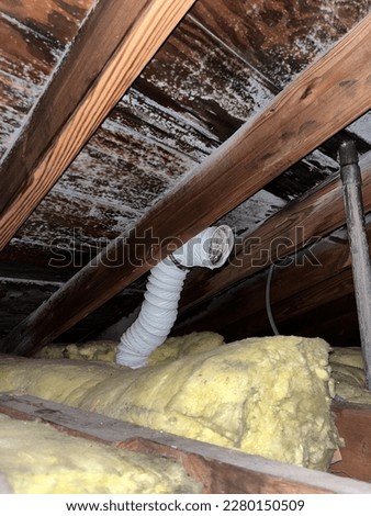 Mold damage from an improperly vented bathroom exhaust fan. Extensive remediation was needed to remove the mold. The vent was reinstalled correctly to the outside.  Royalty-Free Stock Photo #2280150509