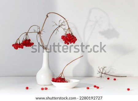 Winter still life with viburnum branches on a light background.