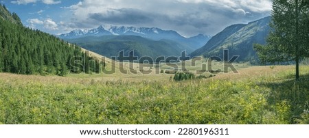 Mountain valley, blooming meadow and thundering sky, panoramic view, summer travel Royalty-Free Stock Photo #2280196311