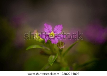 Awesome floral blurry background with green and purple flowers