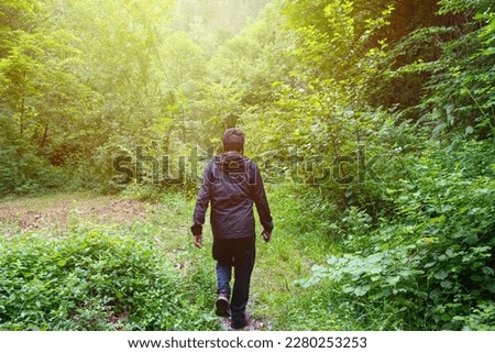 Trekking through jungle trail. Young man walking in beautiful forest. Hiking and travelling concept. Royalty-Free Stock Photo #2280253253