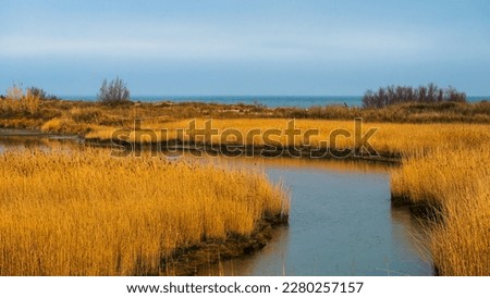 nature sceneries inside the Delta of the river Po during a winter season, Veneto Italy Royalty-Free Stock Photo #2280257157