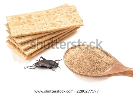 Crackers with cricket flour and crickets powder for eating in wooden spoon, isolated on white background. Close up. Source of protein. Organic food of the future. Selective Focus. Hight quality photo
