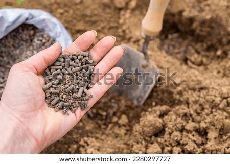 Eco friendly gardening background. Preparing soil for planting, fertilizing with compressed chicken manure pellets. Organic soil fertiliser. Royalty-Free Stock Photo #2280297727