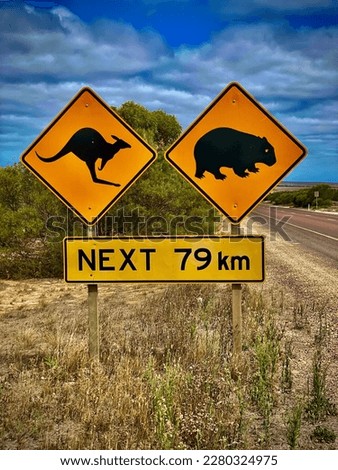 Yellow road signs advising that kangaroos and wombats are present in the area.
