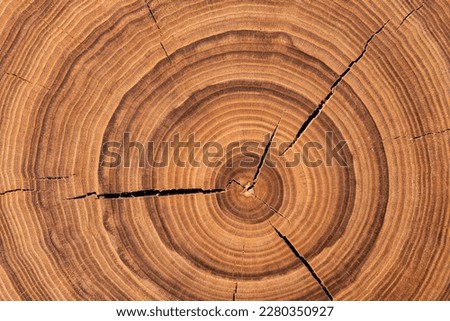 annual rings on a sawn trunk, old tree stump background. wood texture Royalty-Free Stock Photo #2280350927