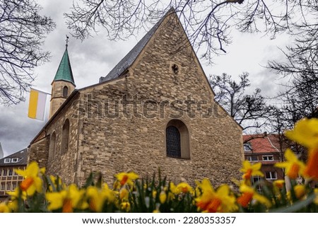 old church with 
daffodils in Münster