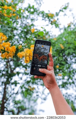 Bangladeshi woman holding a mobile phone trying to capture the wonderful colors of autumn in the forest.