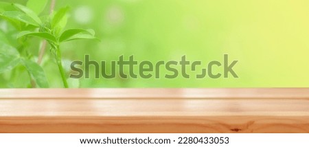 Empty wooden table on the background of a spring yellow-green background. Spring beautiful background. Ready for product montage. Mockup. Banner.Copy space.