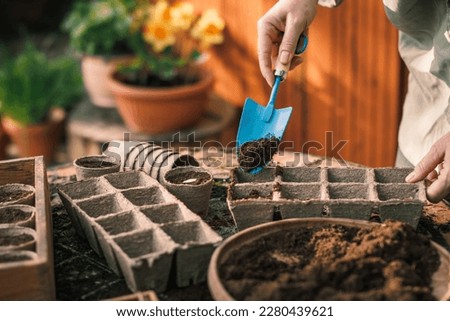 Farmer putting peat and compost into biodegradable paper seedling tray. Spring planting and sowing. Sustainable agriculture Royalty-Free Stock Photo #2280439621