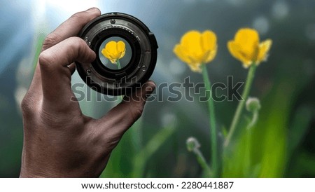 Seeing a flower through a camera lens
