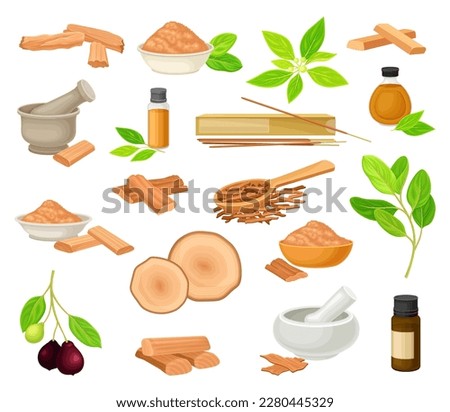 Sandalwood Sticks and Powder with Wood and Green Twig Big Vector Set Royalty-Free Stock Photo #2280445329