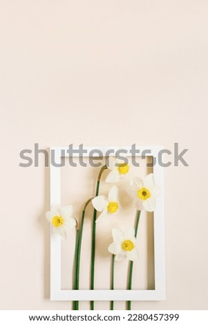 Daffodil flowers in a white frame on a pastel beige background. Flat lay. The concept of a greeting card for mother's Day, women's day, birthday, Easter